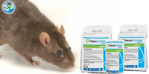 harga obat pembasmi tikus